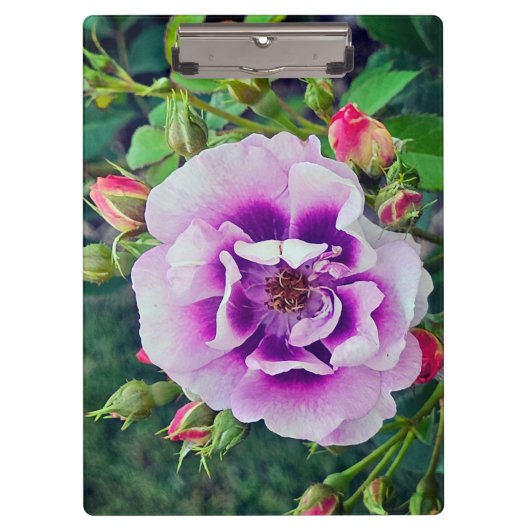 Een violet roos klembord (Voorkant)