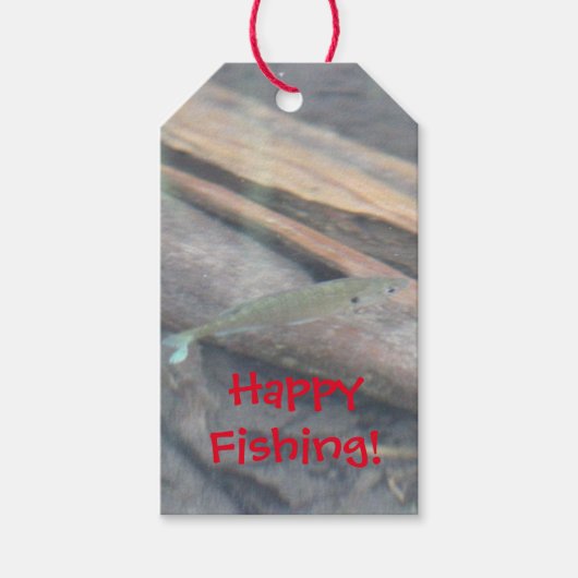 Een vis verjaardagscadeau Label Cadeaulabel (Voorkant)