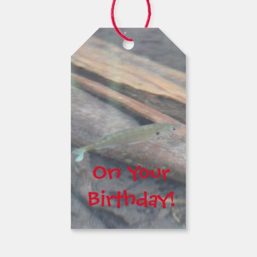 Een vis verjaardagscadeau Label Cadeaulabel (Achterkant)