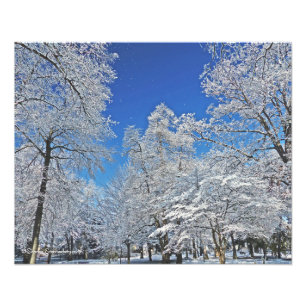 EEN VISIOEN IN HET WIT / EERSTE SNEEUWVAL VERANDER FOTO AFDRUK