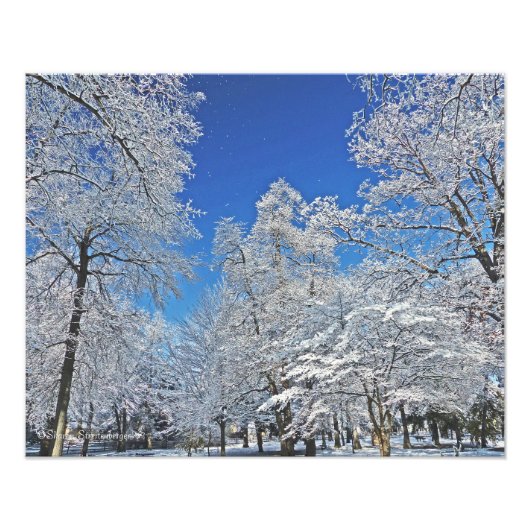 EEN VISIOEN IN HET WIT / EERSTE SNEEUWVAL VERANDER FOTO AFDRUK (Voorkant)