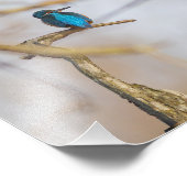 Een visser op zijn tak foto afdruk (Hoek)