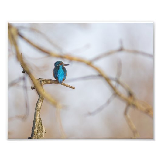 Een visser op zijn tak foto afdruk (Voorkant)