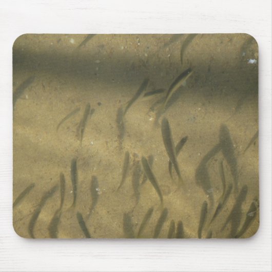 een visverhaal muismat (Voorkant)