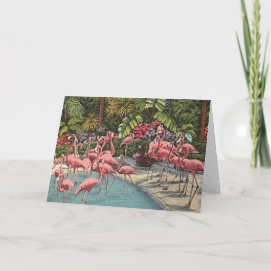 Een Vlammende Flamingo Kaart (Voorkant)