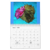 Een vleugje liefde kalender (Mar 2026)