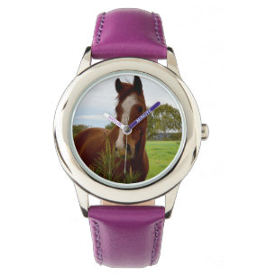 Een vleugje Natuur: een kastanjepaard en Banksia, Horloge