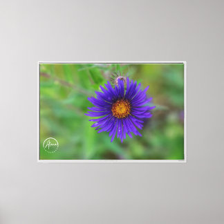 Een vleugje paars op het doek van de natuur Print
