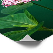 Een vleugje roze in de groene print (Hoek)