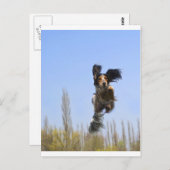 Een vliegende hond. briefkaart (Voorkant / Achterkant)