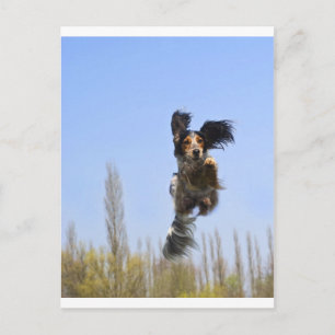 Een vliegende hond. briefkaart