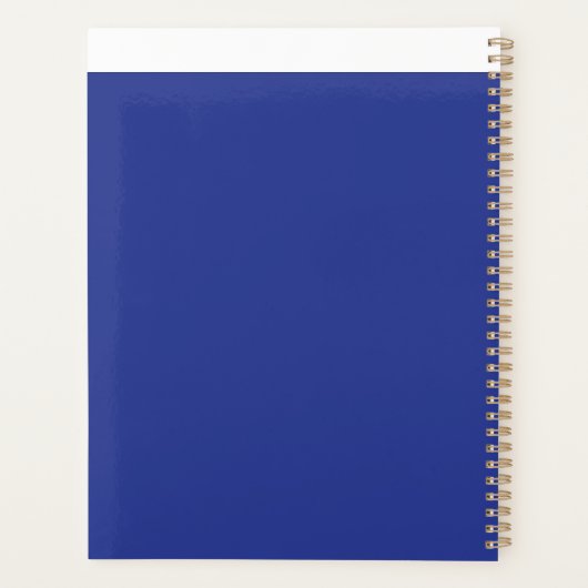 Een vliegtuig dat in de lucht vliegt met een blauw planner (Achterkant)