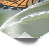 Een vlinder die op een lef rust foto afdruk (Hoek)