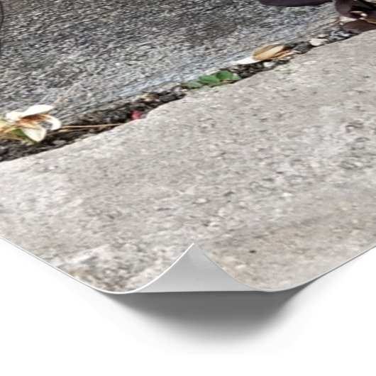 Een vlinder landde op viool poster (Hoek)