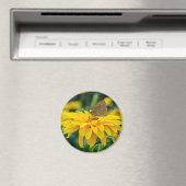 Een vlinder op een gele bloemenmagneet magneet (Insitu (Vaatwasser))