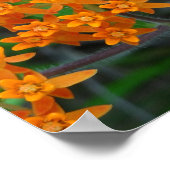 Een vlinder van aanmoediging, hoop en toekomst poster (Hoek)