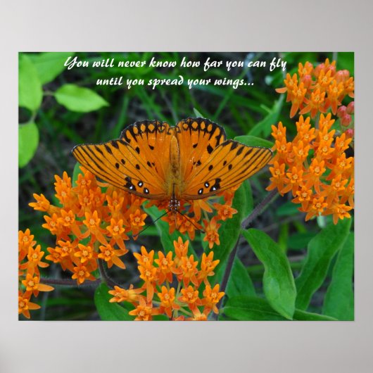 Een vlinder van aanmoediging, hoop en toekomst poster (Voorkant)