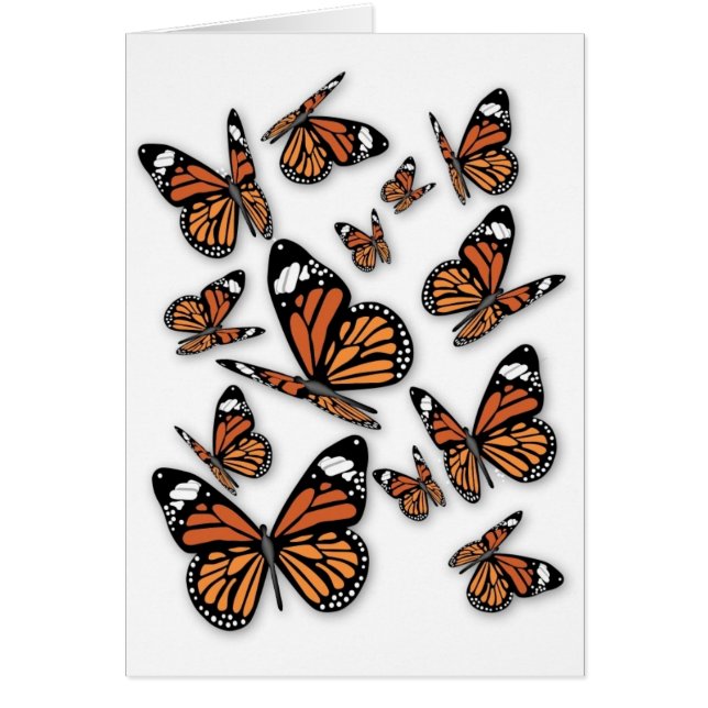 Een vlucht Butterflies (Voorkant)