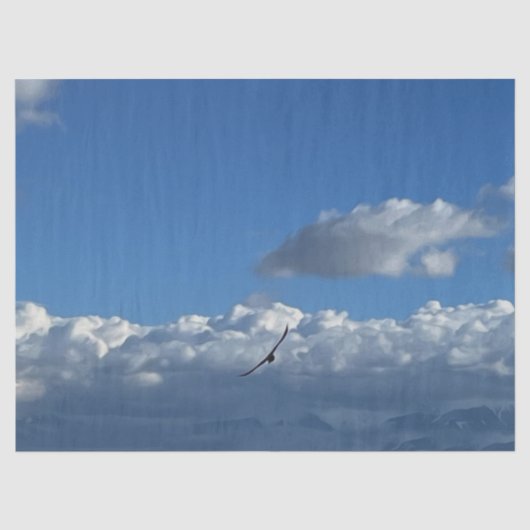 Een vlucht onder de wolken tissuepapier (Voorkant)