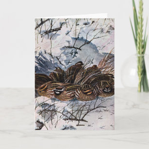 Een vlucht van Boomkwartels Kaart