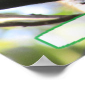 Een voedingsdag hebben, een Cute Squirrel Humor Po Poster (Hoek)