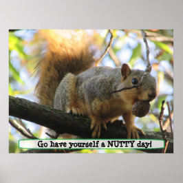 Een voedingsdag hebben, een Cute Squirrel Humor Po Poster