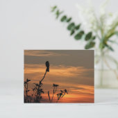 een vogel in de boom bij de zonsondergang briefkaart (Staand voorkant)