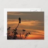 een vogel in de boom bij de zonsondergang briefkaart (Voorkant / Achterkant)