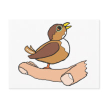 Een vogel in de hand