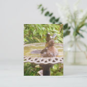 Een vogel in het bad briefkaart (Staand voorkant)