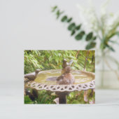Een vogel in het bad briefkaart (Staand voorkant)