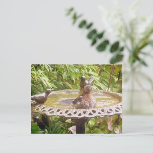 Een vogel in het bad briefkaart (Staand voorkant)