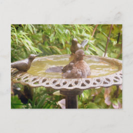 Een vogel in het bad briefkaart