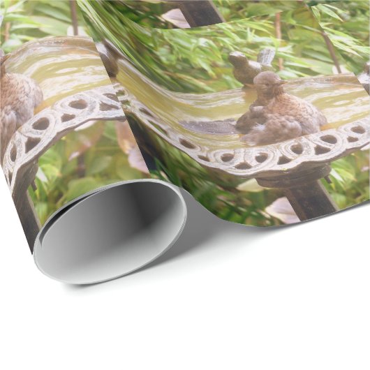 Een vogel in het bad cadeaupapier (Rol Hoek)