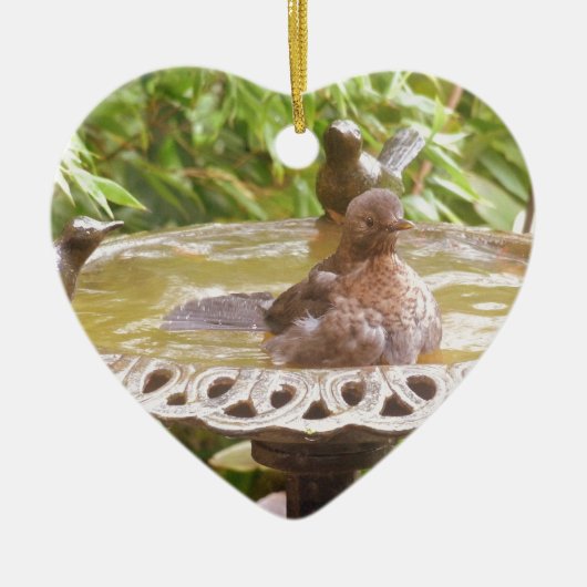 Een vogel in het bad keramisch ornament (Voorkant)