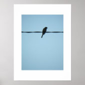 Een vogel/Poster Poster (Voorkant)