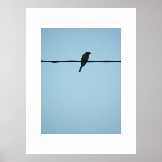 Een vogel/Poster Poster (Voorkant)