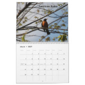 Een vogel voor elk seizoen kalender (Mar 2027)