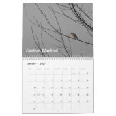 Een vogel voor elk seizoen kalender (Jan 2027)