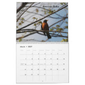 Een vogel voor elk seizoen kalender (Mar 2027)