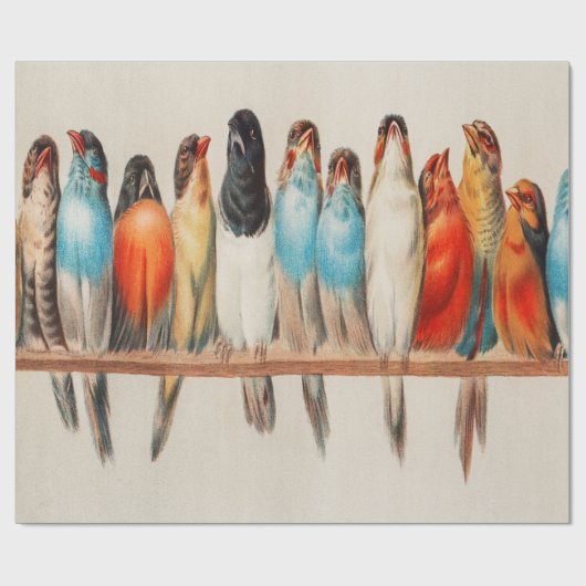 Een vogelbaard cadeaupapier (Vlak)