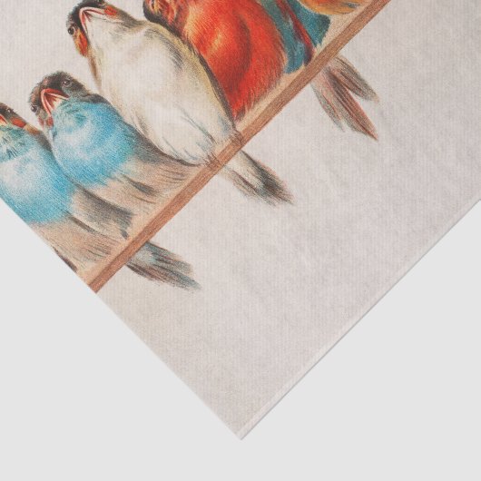 Een vogelbaard tissuepapier (Detail)