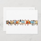 Een vogelbaard - vogelillustratie - briefkaart (Voorkant / Achterkant)