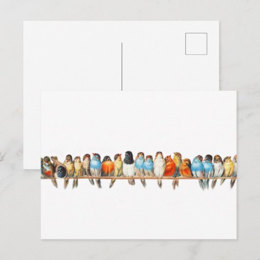 Een vogelbaard -  vogelillustratie - briefkaart (Voorkant / Achterkant)