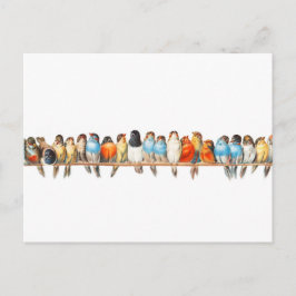 Een vogelbaard -  vogelillustratie - briefkaart