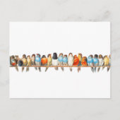 Een vogelbaard -  vogelillustratie - briefkaart (Voorkant)