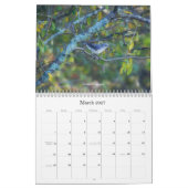Een vogelkalender voor vogelaars kalender (Mar 2027)