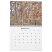 Een vogelkalender voor vogelaars kalender (Feb 2027)