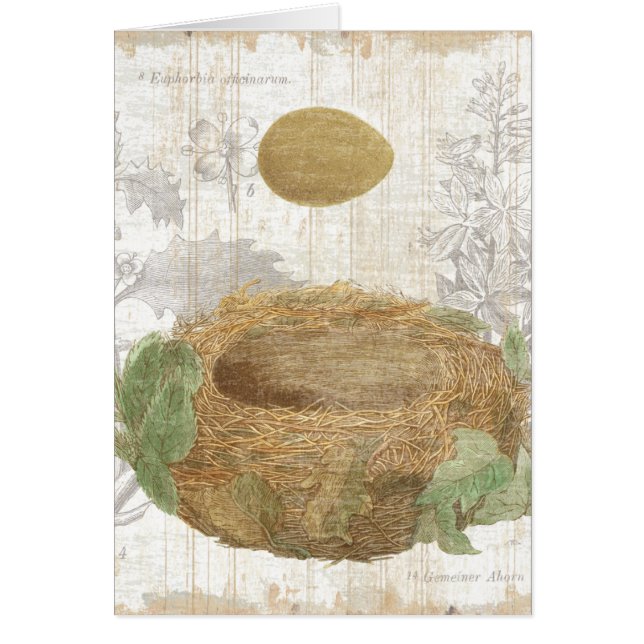 Een vogelnest met bruine eieren (Voorkant)