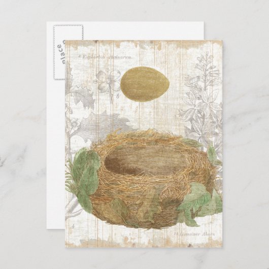Een vogelnest met bruine eieren briefkaart (Voorkant / Achterkant)